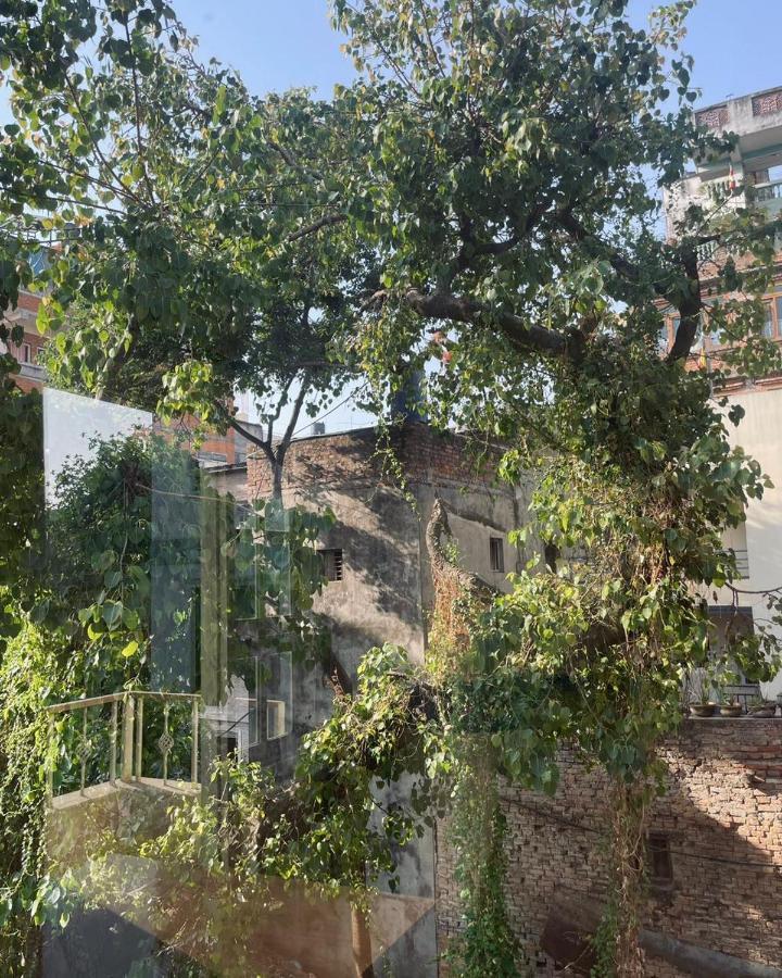 Rooftop Studio And 2Bhk Apartments In Kathmandu'S Most Happening Place エクステリア 写真